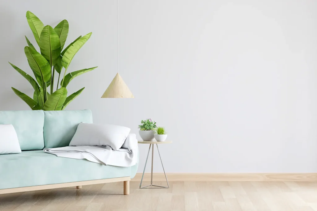 Ein schönes Sofa mit Pflanzen lädt zum offenen Coaching ein. Persönlichkeits- und Karriere Themen wollen wir mit Ihnen bearbeiten